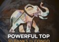 Powerful Top 30 Banks in Congo:Online Banking Services and  Locations